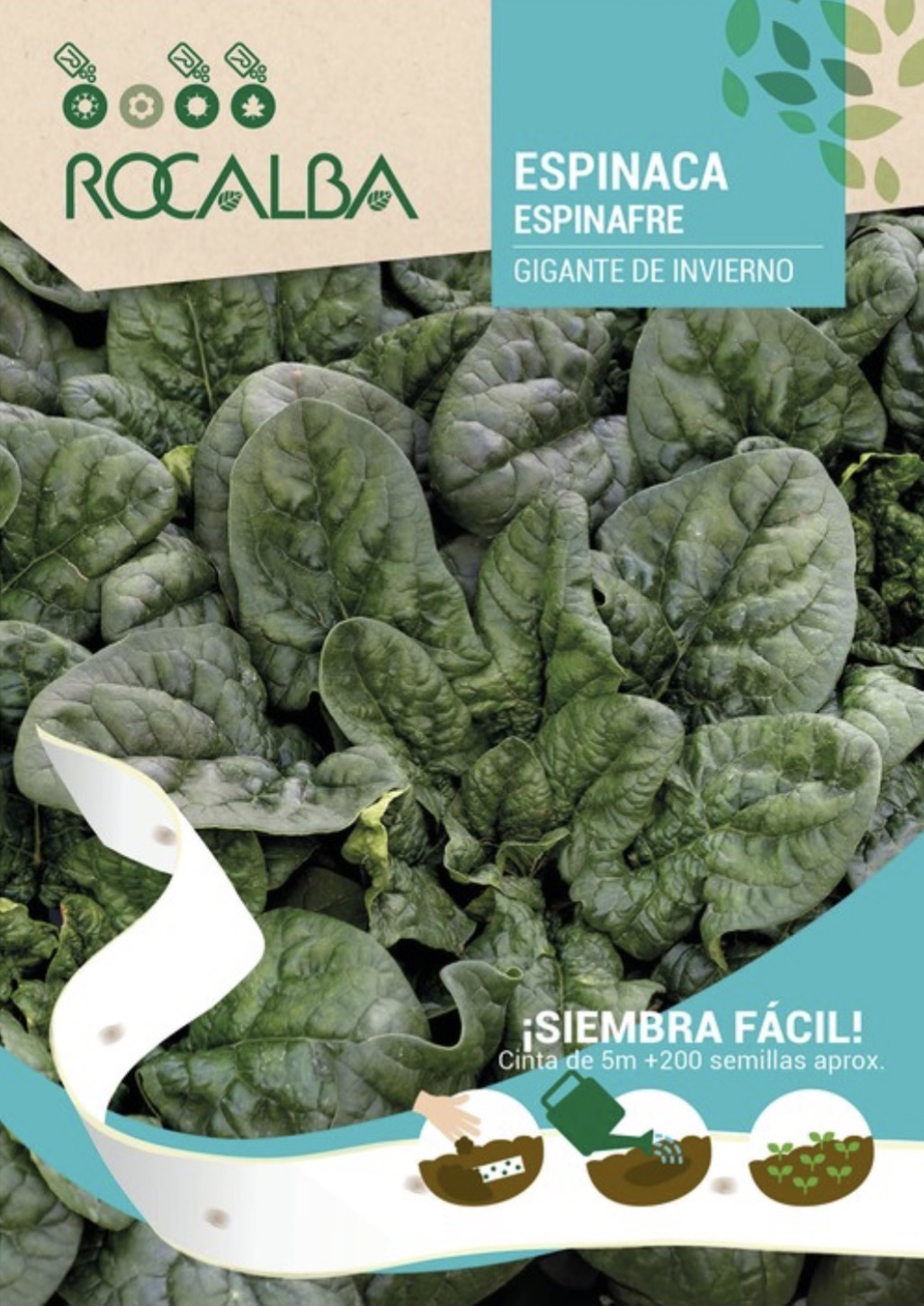 Espinaca