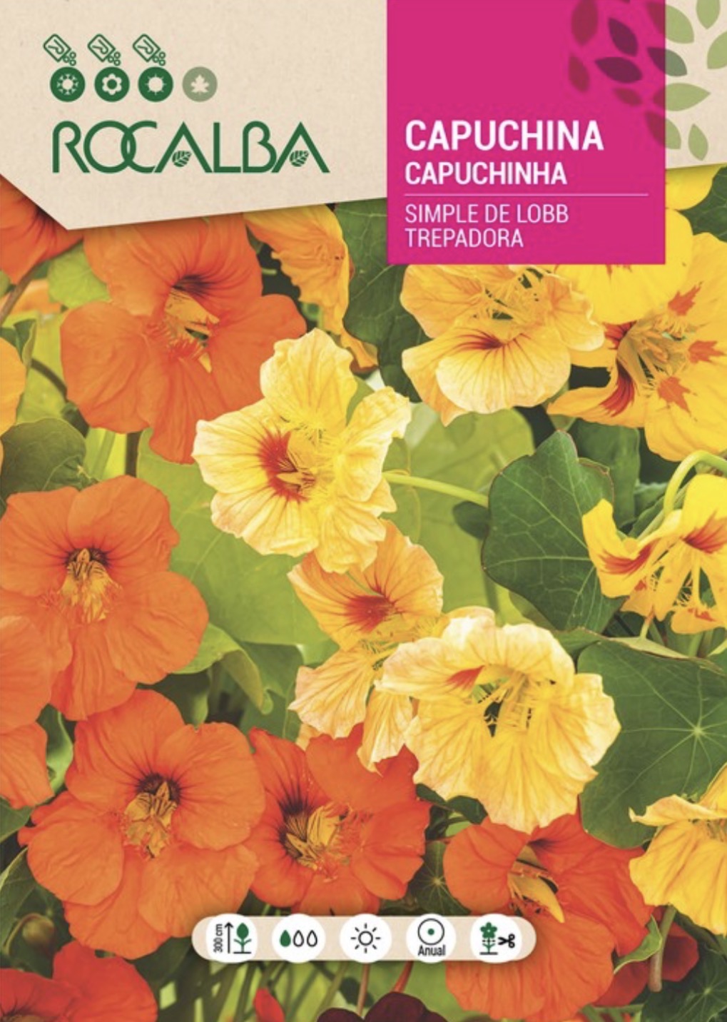 Capuchina Trepador