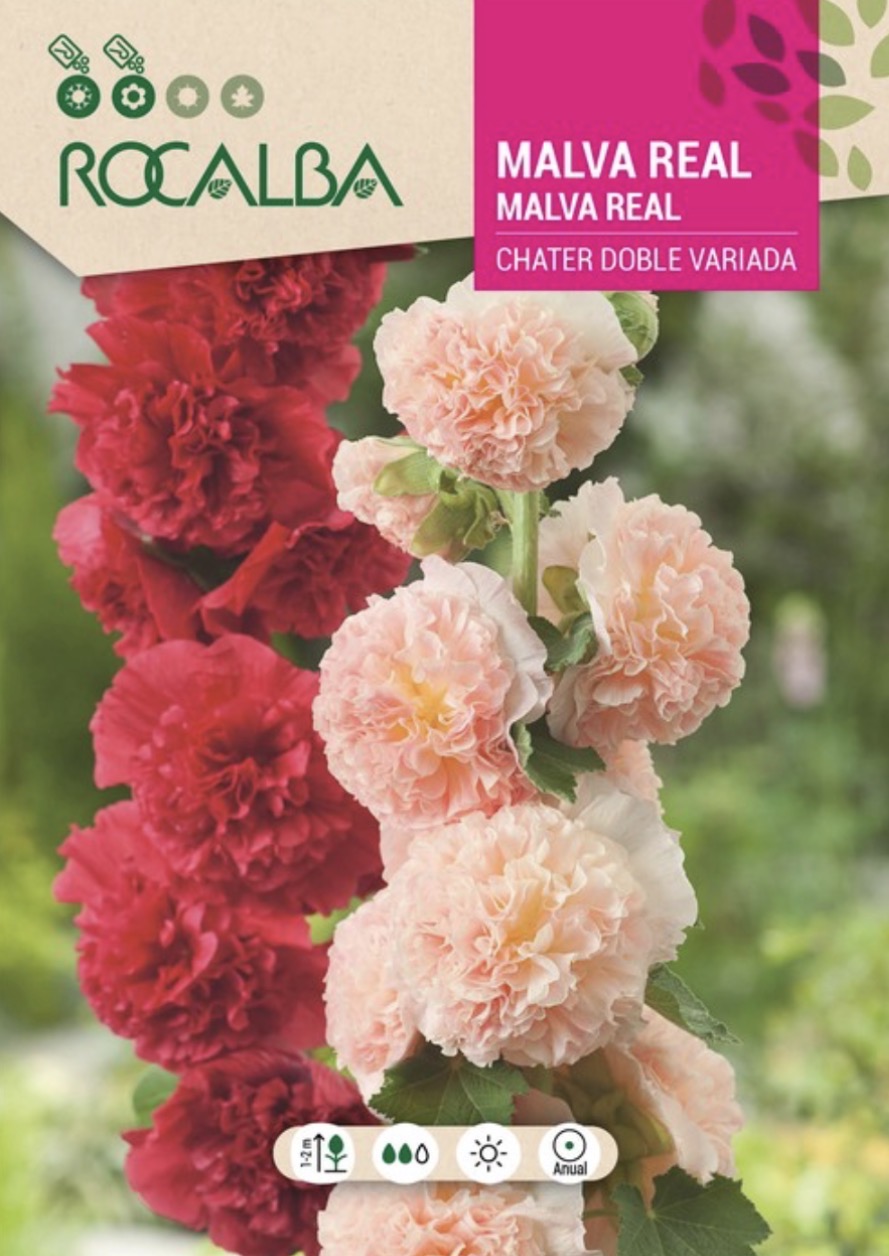 Malva Real