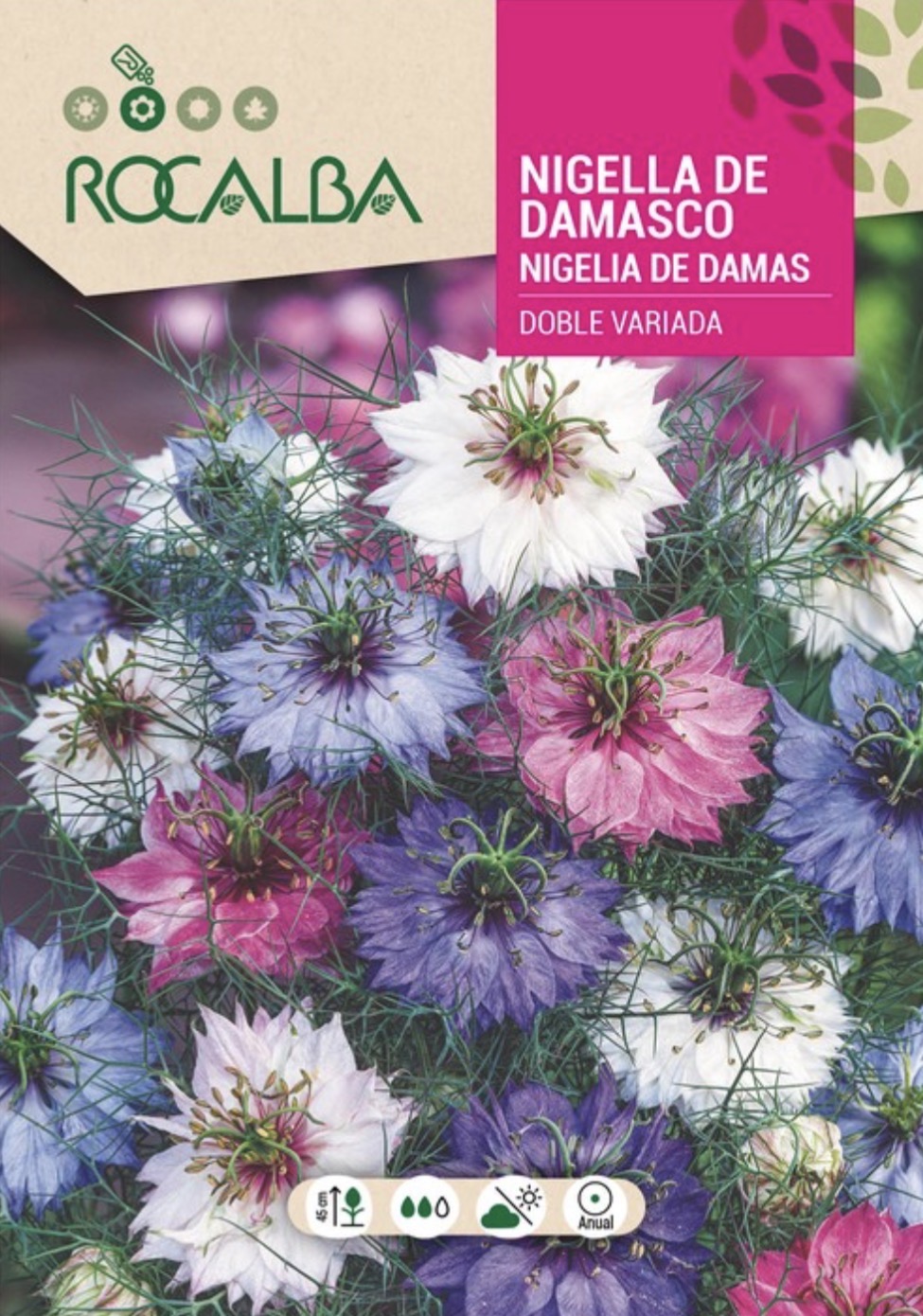 Nigella Damasco