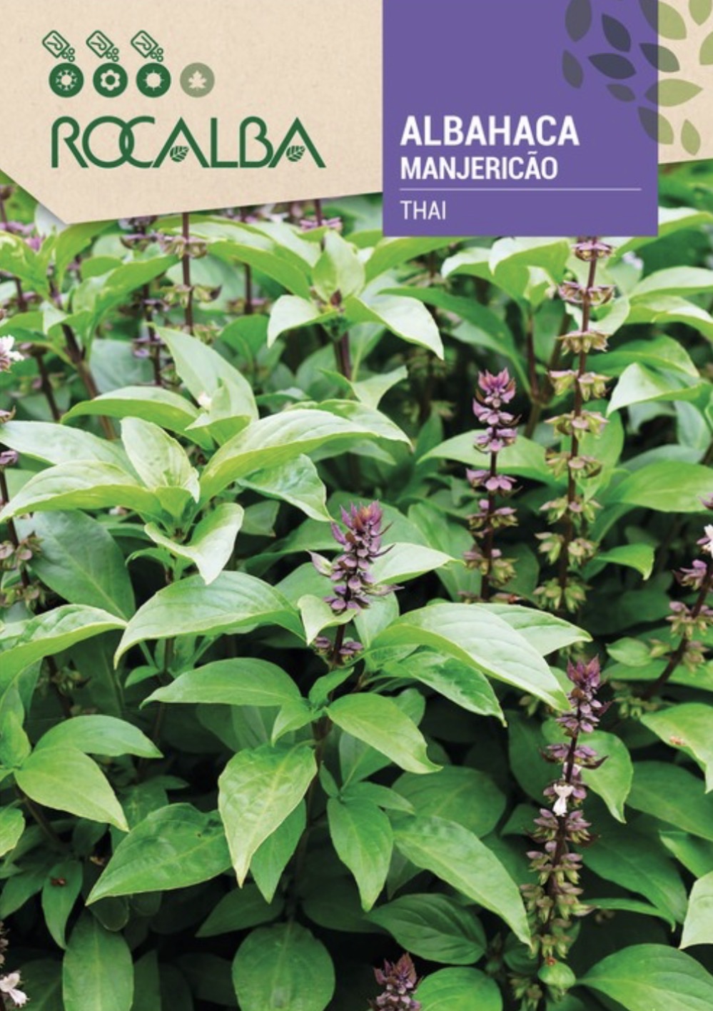 Albahaca Thai